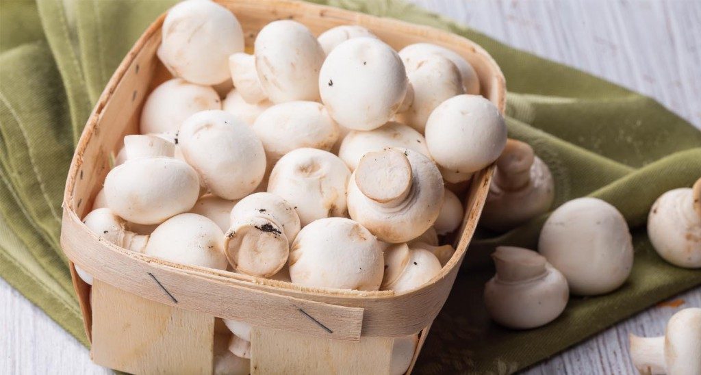 champignons de paris